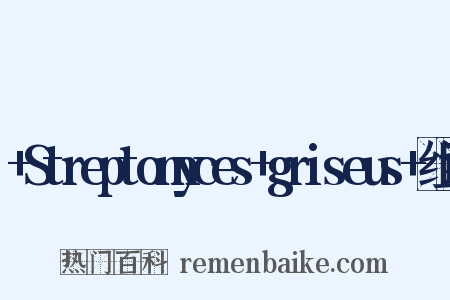 +Streptomyces+griseus+组词是什么意思的图片